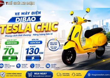 Tổng Quan Xe Máy Điện Dibao Tesla Chic
