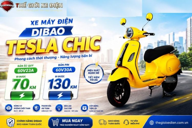 Tổng Quan Xe Máy Điện Dibao Tesla Chic